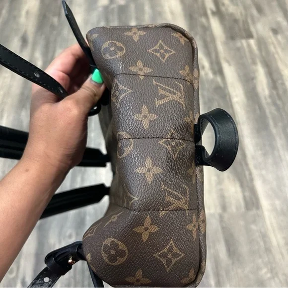 LOUIS VUITTON - Monogram Palm Springs PM - Picture 4 of 14